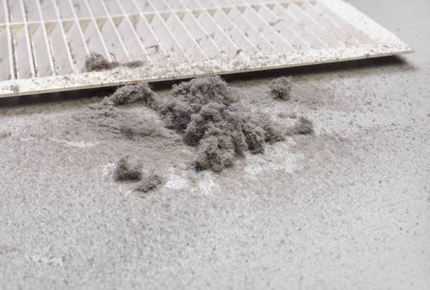 Best Ductwork Cleaning Services  in South Houston, TX