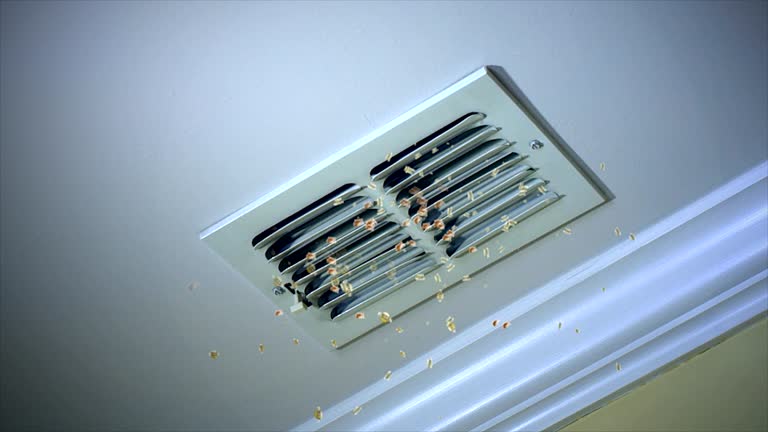 Best Air Duct Cleaning Cost  in South Houston, TX