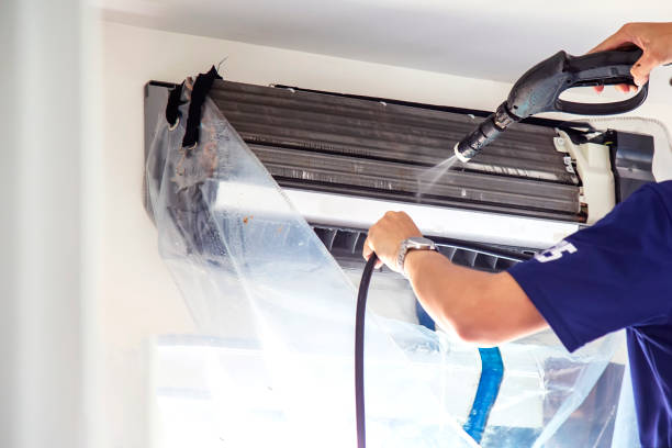 Best Air Duct Mold Removal  in South Houston, TX