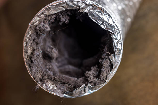 Best Affordable Air Duct Cleaning  in South Houston, TX
